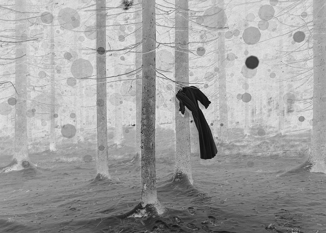 «Концептуальная фотография», одиночное фото, золотая медаль
